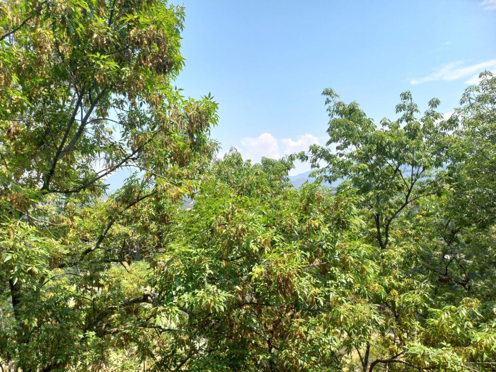 Solache Inn Zitácuaro 客房 照片