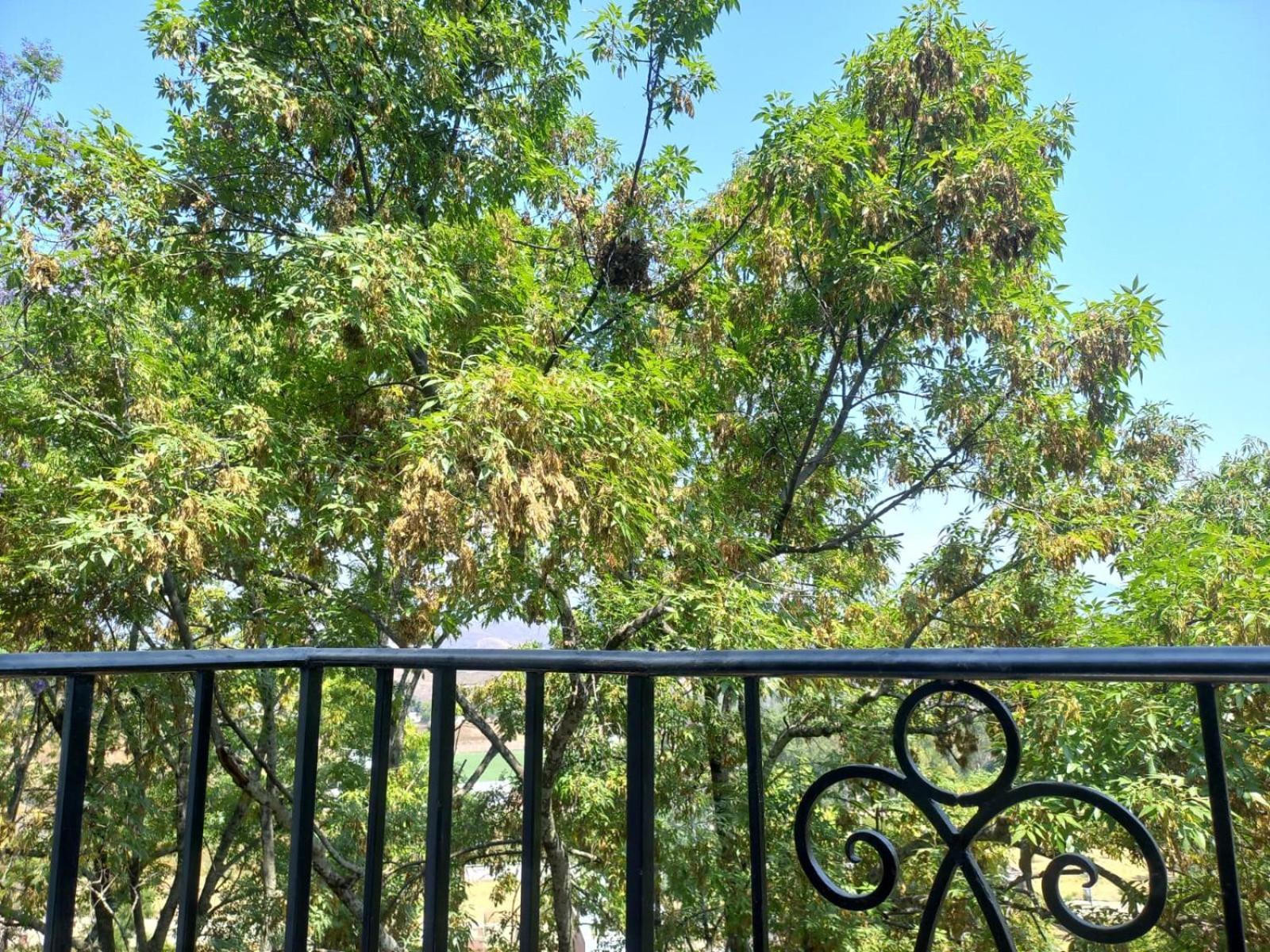 Solache Inn Zitácuaro 客房 照片